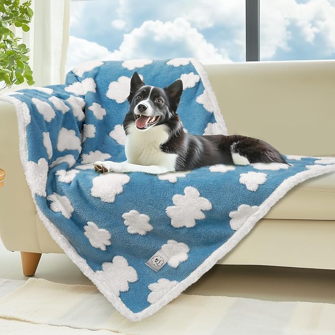 Luciphia Waterproof Pet Blanket by luciphia