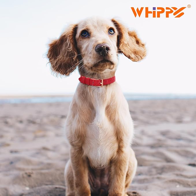 WHIPPY Leather Dog Collar for Small Medium Large Dog Adjustable Soft Breathable - Image 2