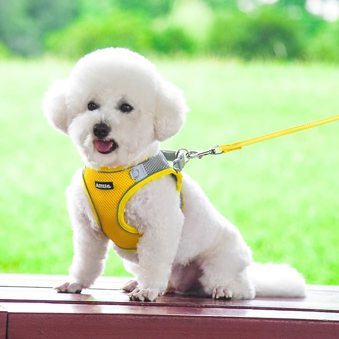 AIITLE No Pull Dog Harness and Leash Set, Step in Adjustable Dog Harness - Image 9