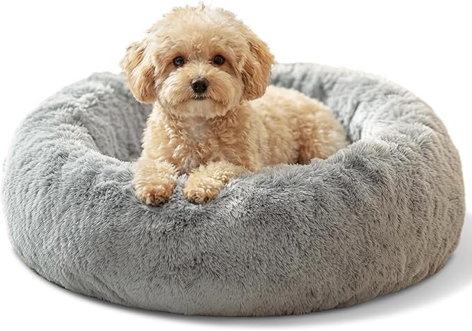 JOLLYVOGUE Small Dog & Cat Beds by JOLLYVOGUE