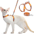 Dooradar Cat Harness and Leash, Escape Proof Adjustable Kitten Vest, by Dooradar