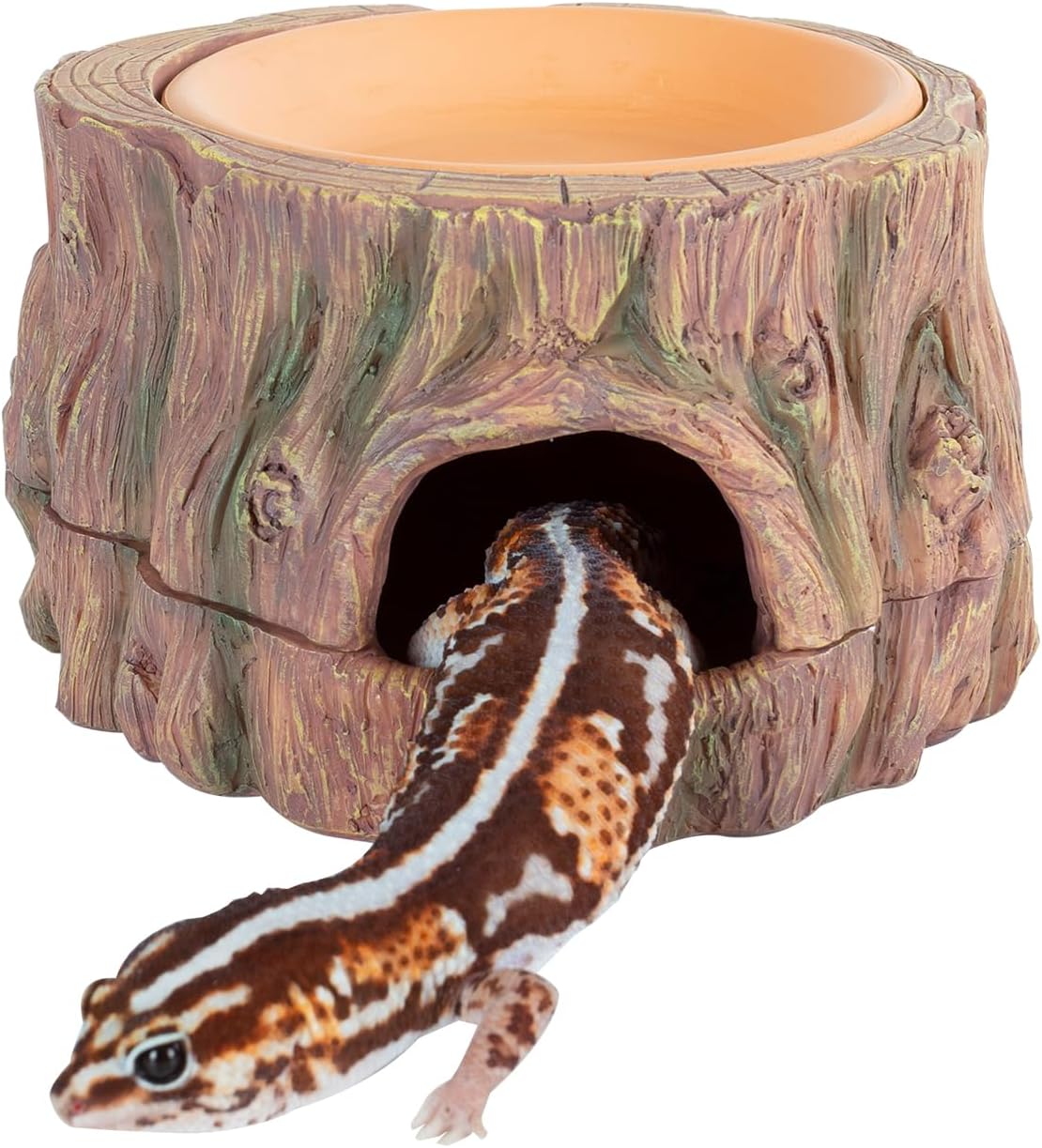 3 in 1 Reptile Hide Cave with Humidity Dish - GlobalHabitat Supply