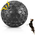 Interactive Squeaky Dog Balls, Dog Toys by DISSKNIC