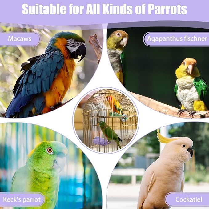 Bird Beak Grinding Stone 2 Pcs Bird Parrot Cage Perch Stand Platform Foot Claws - Image 3