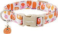 Faygarsle Fall Pumpkin Pattern Dog Collar by Faygarsle