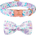 Lionheart glory Purple Dog Collar, Adjustable Dog Collar by LionheartGlory
