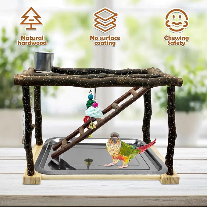 Tfwadmx Parrots Playstand Bird Play Gym Cockatiel Playground Wood Perch Stand - Image 4
