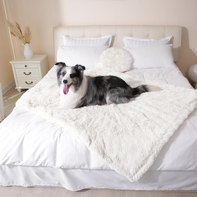 gogobunny Waterproof Dog Blanket - Image 4