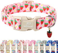 Cute Spring/Summer Dog Collar, Adjustable Pink Strawberry Dog Collars by Babolepet