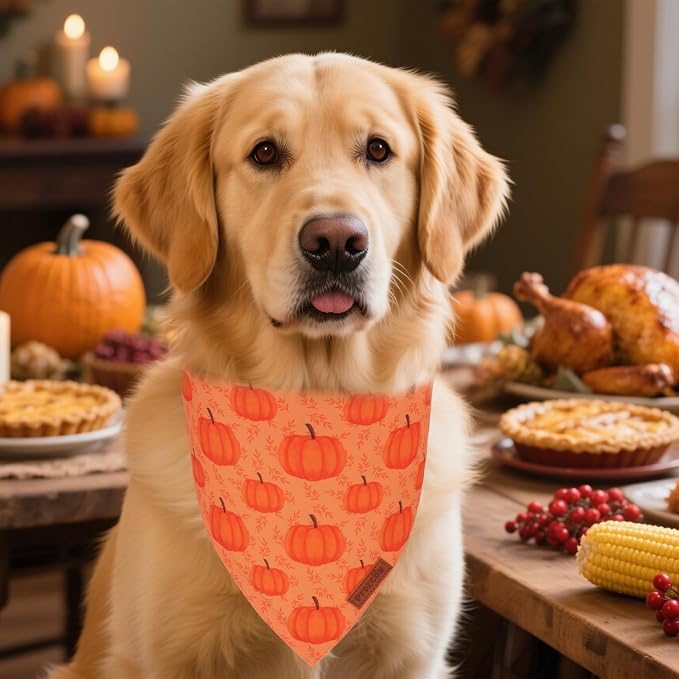 PTDECOR Thanksgiving Fall Dog Bandanas, Happy Thanksgiving Pumpkin Triangle - Image 2