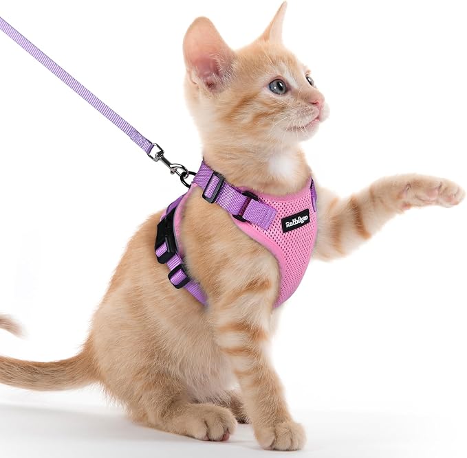 rabbitgoo Cat Harness and Leash by rabbitgoo