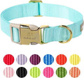 Nylon Dog Collar