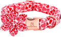 Lionheart glory Valentine's Day Dog Collar by LionheartGlory