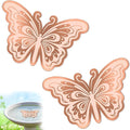 2Pcs Bird Bath Copper Disk, 0.6mm Reinforced 99.9% Pure Copper Cleaning Disk by VeyFolzinst