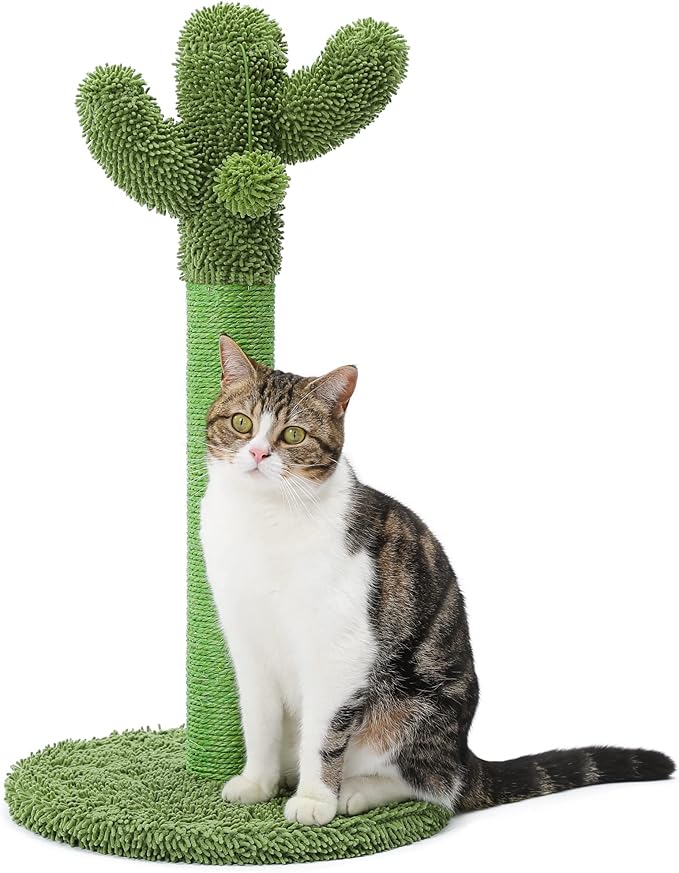Made4Pets Cat Scratching Post, 25.6" Cactus Cat Scratcher Kitten Scratch Post by Made4Pets