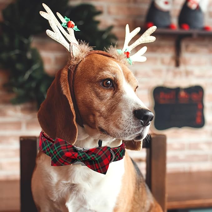 Dog Collar, Christmas Dog Collar Plaid Pet Collar Bow Holiday Bows Girl Boy - Image 6