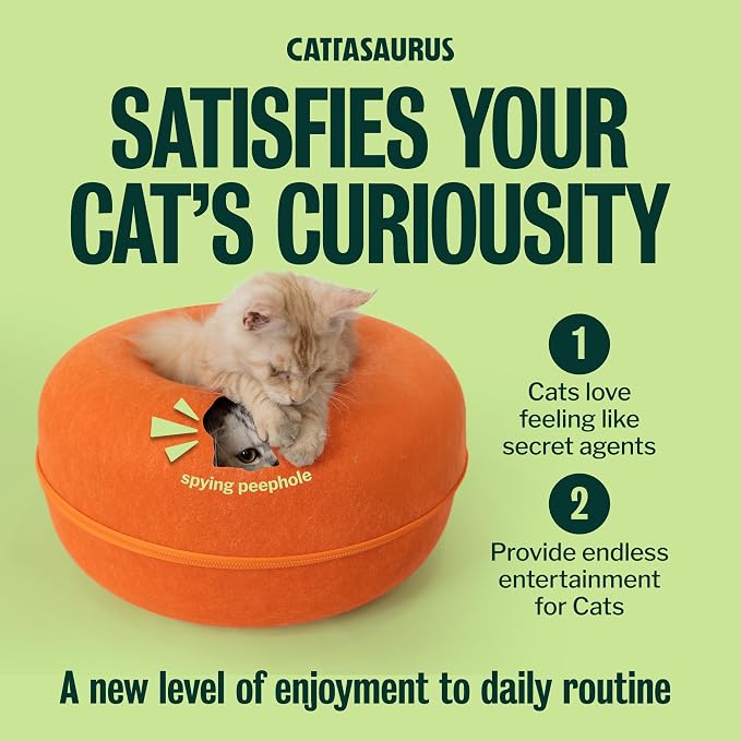 Cattasaurus Peekaboo Cat Cave Donut - Image 5