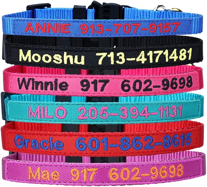 Personalized Nylon Cat Collar Breakaway by Unknown