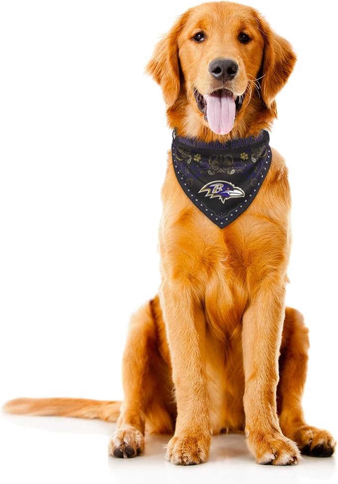 Littlearth NFL Denver Broncos Pet Bandana - Image 3