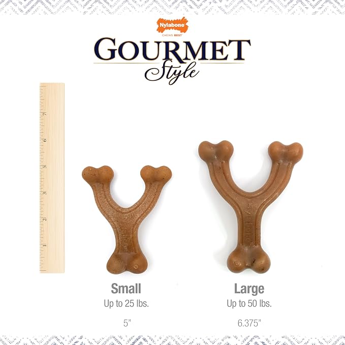 Nylabone Gourmet Style Wishbone Strong Chew Toy - Image 4