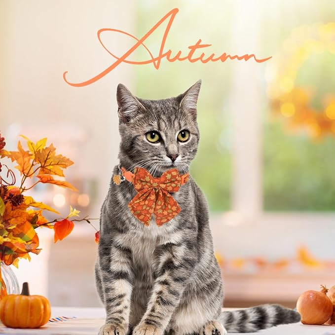 SCENEREAL Fall Cat Collar with Bell & Stylish Bowtie, Turkey Maple Leaf Pattern - Image 7