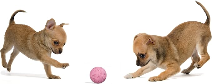 Snug Rubber Dog Balls for Small and Medium Dogs - Image 4