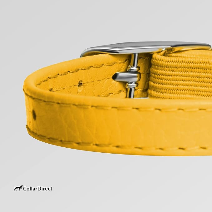 CollarDirect Leather Cat Collar, Cat Safety Collar - Image 3