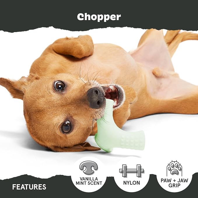 Barkbox Super Chewer Tough Dog Chew Toys - Image 4