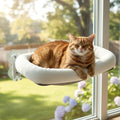 Cordless Cat Window Perch, Foldable Cat Window Hammock, 4 Strong Suction Cups by POMESEA