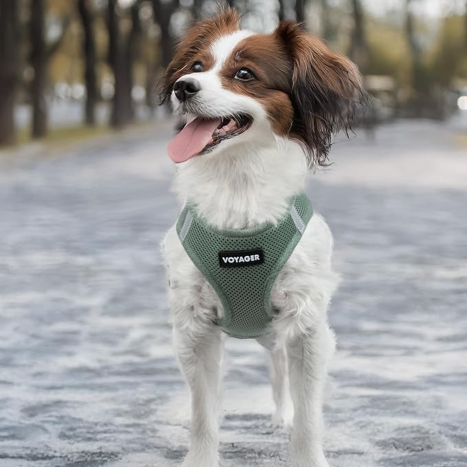 Best Pet Supplies Voyager Step-in Air Harness - Image 6