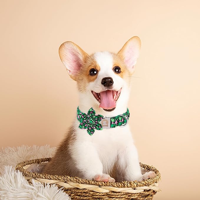 MR. CHUBBYFACE St.Patrick's Clover Dog Collar - Image 5