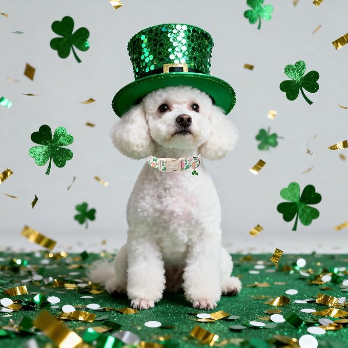 St Patricks Day Dog Collar for Large Dogs - Image 6