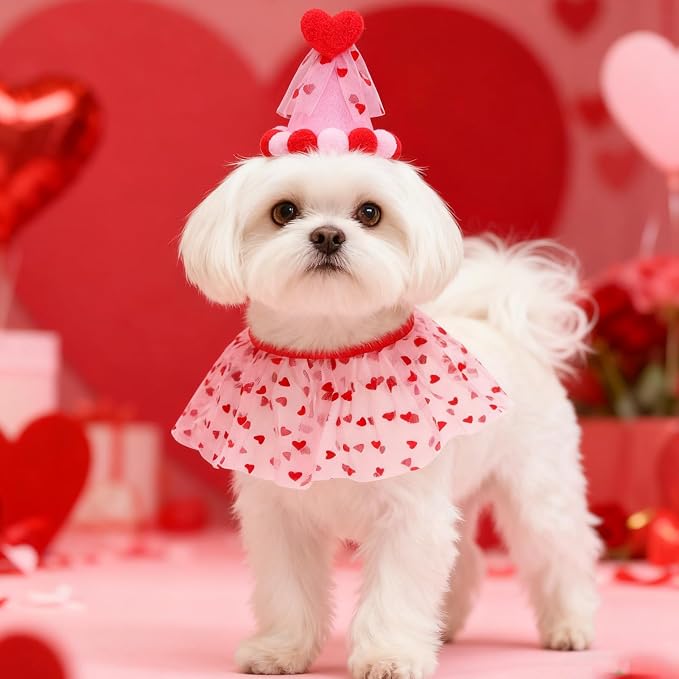 SCENEREAL Valentine's Day Cat Costume - Image 5