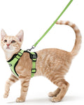 rabbitgoo Cat Harness and Leash by rabbitgoo
