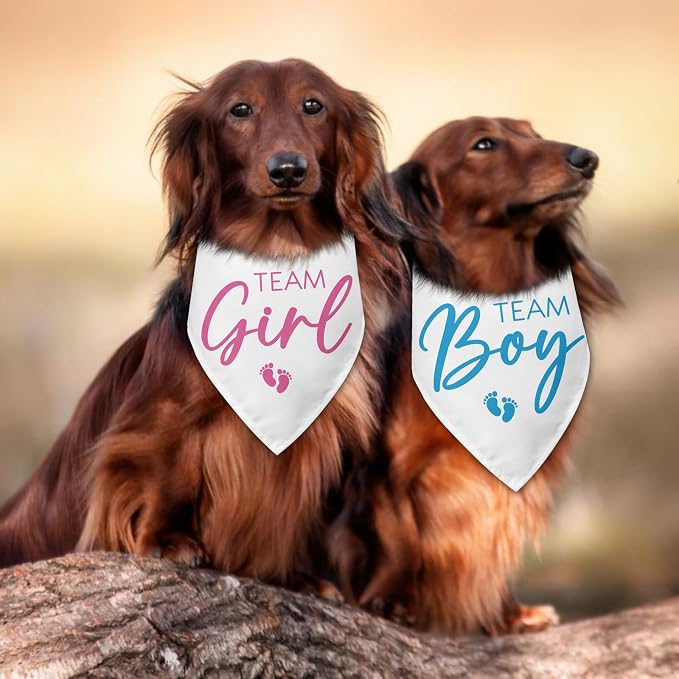 2 Packs Team Girl Team Boy Gender Reveal Baby Announcement Dog Bandana Pet - Image 5