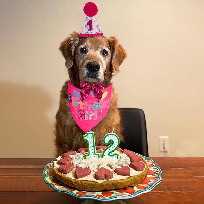PTDECOR Dog Birthday Party Supplies, Girl Dog Birthday Hat - Image 2