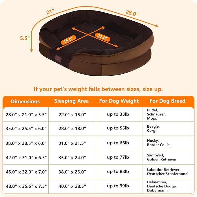 Dwanton Orthopedic Dog Bed for Medium Dogs - Image 4