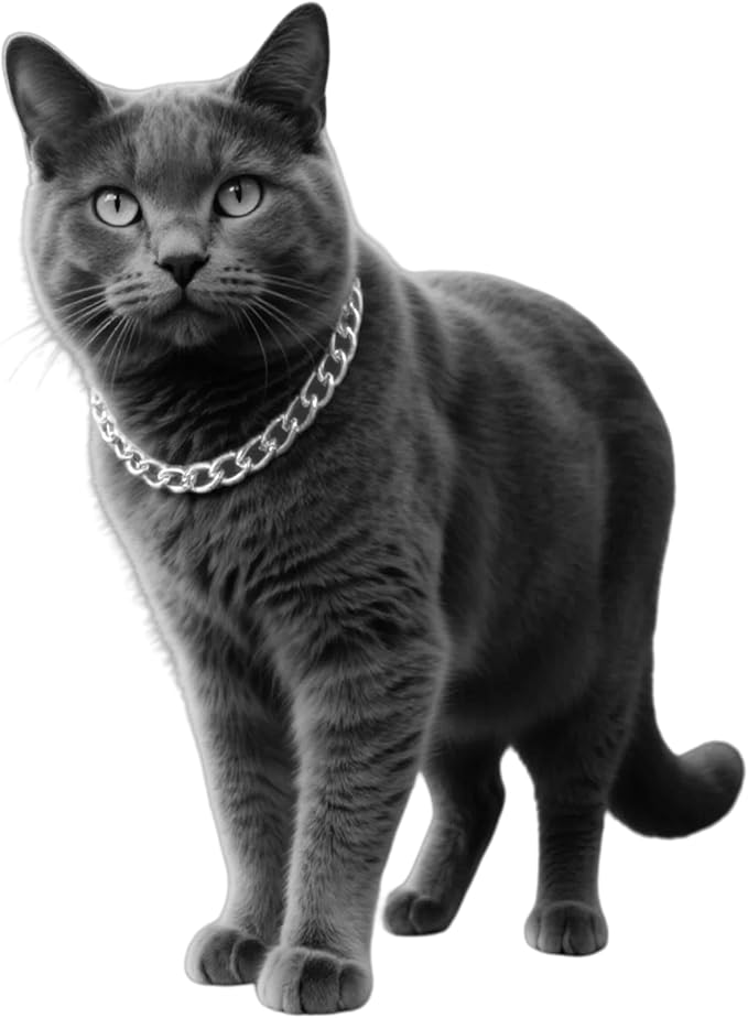 Silver Cat Chain Collar, Adjustable Cuban Link Necklace by CWYZA