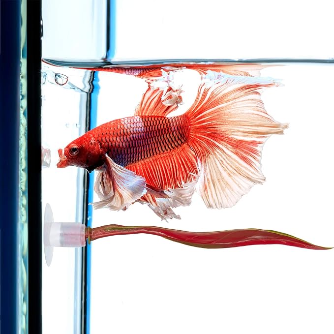 WILLBOND 2 Pcs Red Silicone Betta Fish Bed Leaf Hammock Betta Fish Tank - Image 4