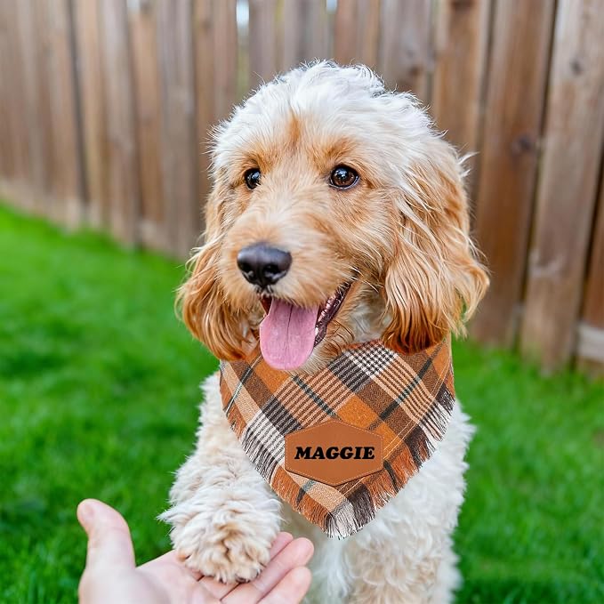 Personalized Dog Gifts Withe Name Custom Dog & Cat Bandana Personalized Pet - Image 3