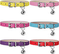 Weewooday 6 Pieces Leather Cat Collar by Weewooday