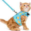 PUPTECK Soft Mesh Cat Vest Harness and Leash Set Puppy Padded Pet Harnesses by PUPTECK