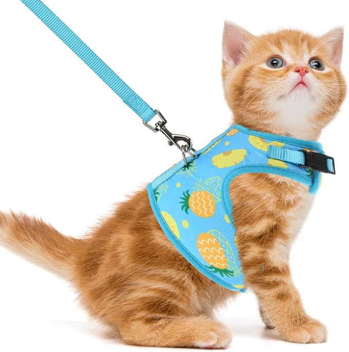 PUPTECK Soft Mesh Cat Vest Harness and Leash Set Puppy Padded Pet Harnesses by PUPTECK
