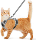 Cat Harness and Leash for Walking Escape Proof Soft Adjustable Cat Leash by Unknown