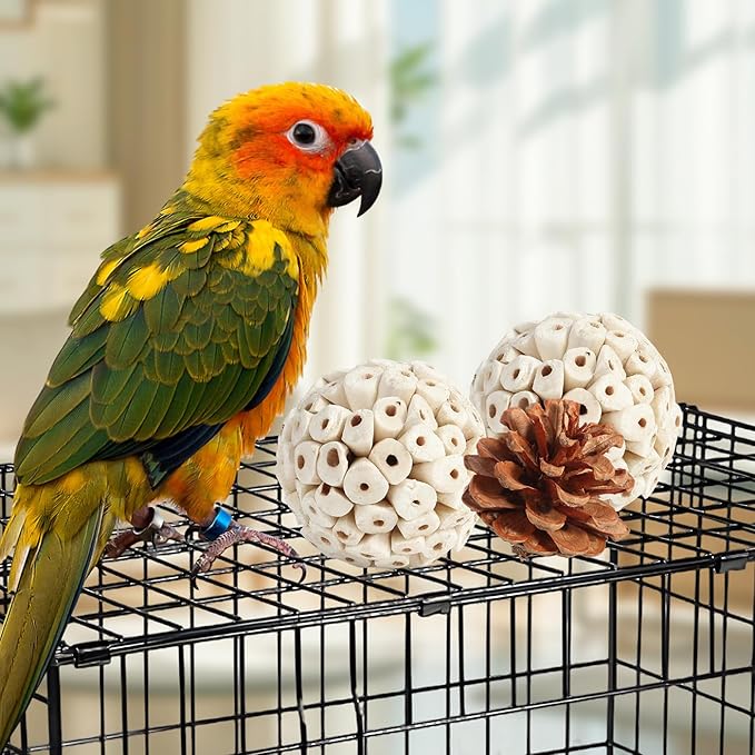 Kyouki Bird Toys Parrot Natural Bird Foraging Box Foot Toys - Image 7