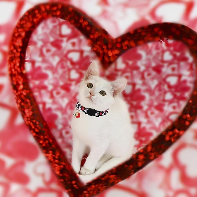 Unique Style Paws Valentine's Day Cat Collar, Cute Cat Collars - Image 3