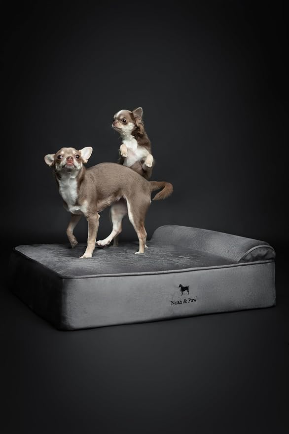 NOAH & PAW Dog Bed, Orthopedic Dog Beds - Image 3