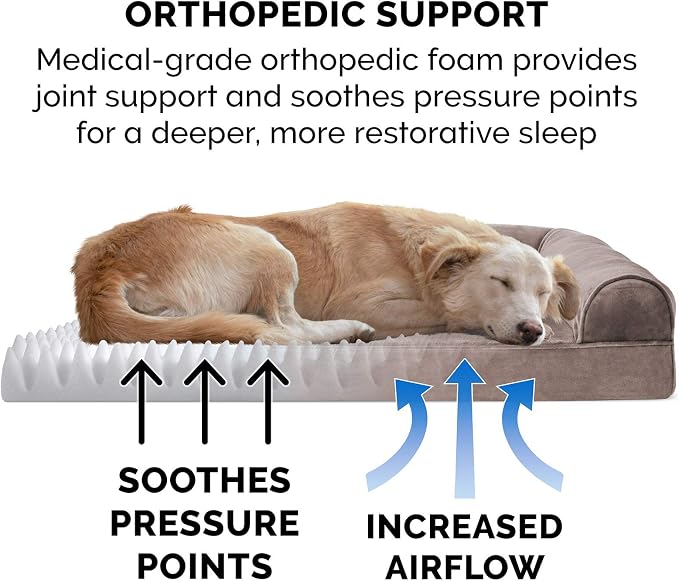 Furhaven Orthopedic Dog Bed for Large/Medium Dogs w/ Removable Bolsters & - Image 5