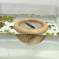 Aquarium Floating Betta Fish Skins, Betta or Shrimp Feeder, Cave and Hammock by HOZOE