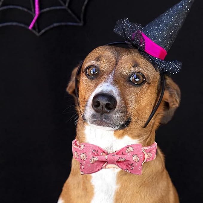 Elegant Little Tail Dog Collar - Image 5